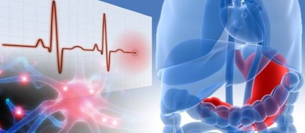 obraz dekoracyjny do newsa